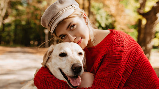 5 saveta kako da brinete o svom psu tokom jesenjih dana
