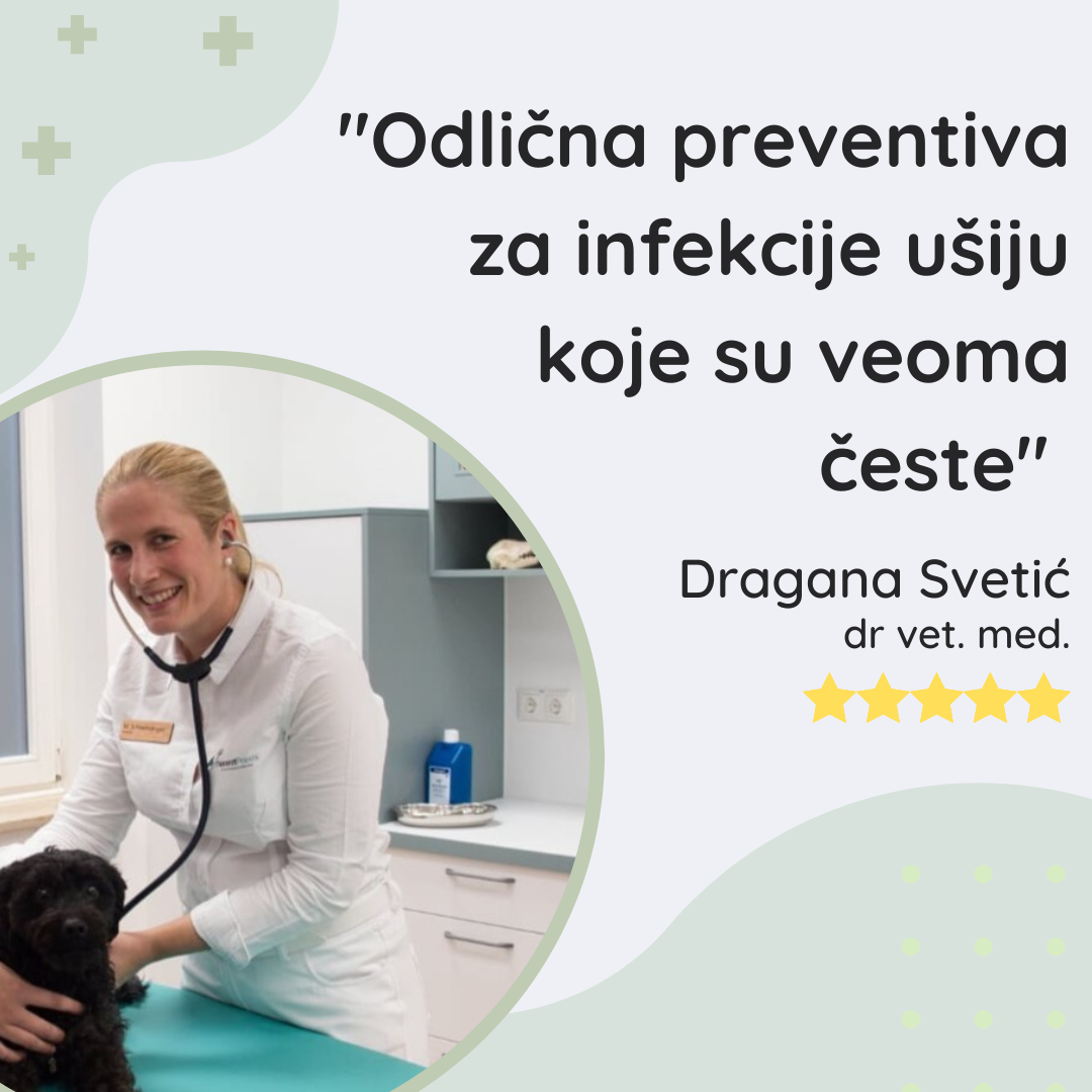 Losion za Pse | za Higijenu Ušiju