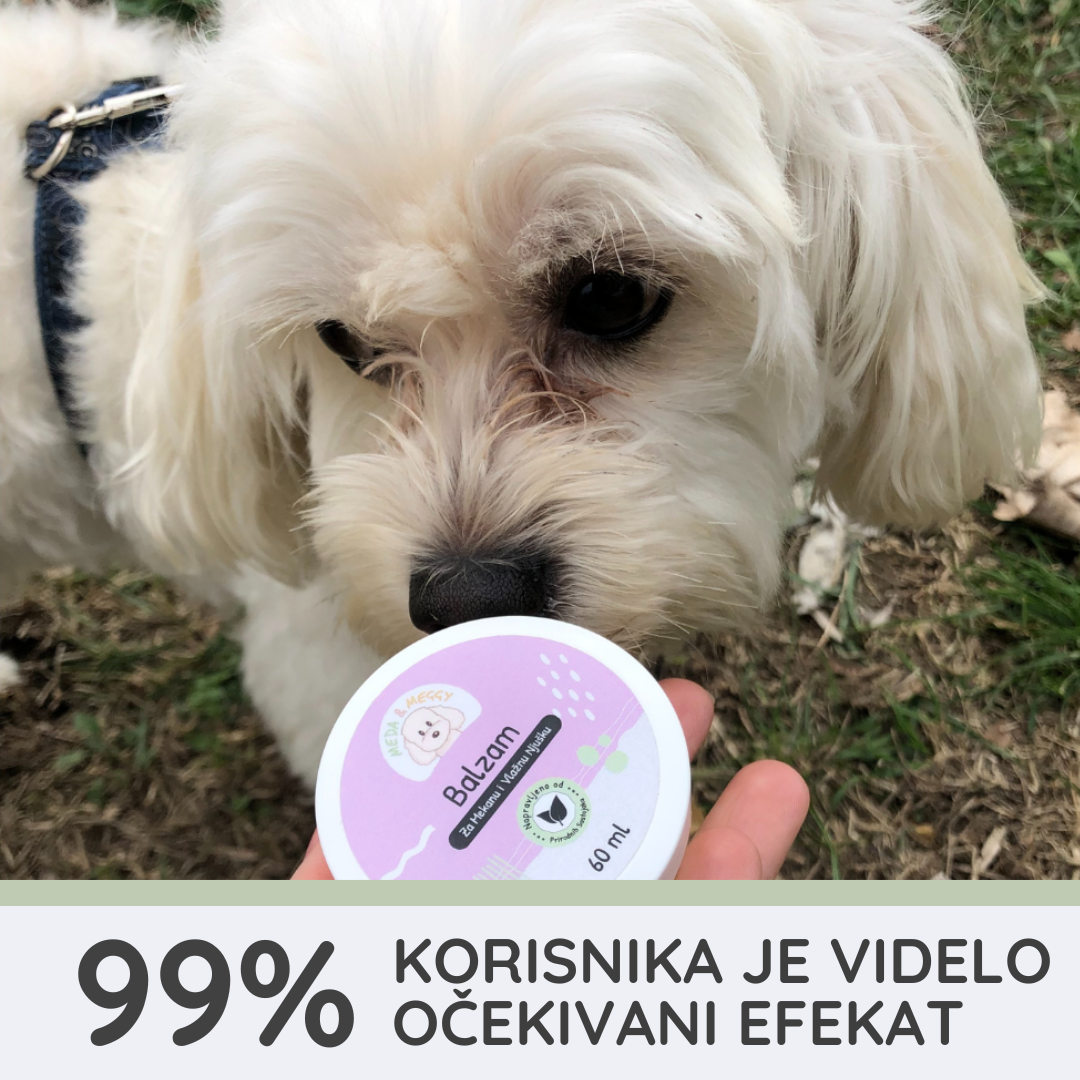 Balzam za pse | za Zdravu i Vlažnu njušku