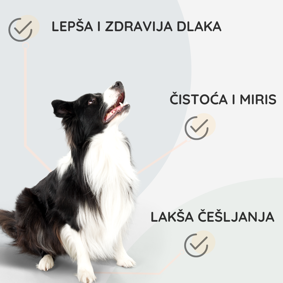 Set za Zdravu i Negovanu Dlaku