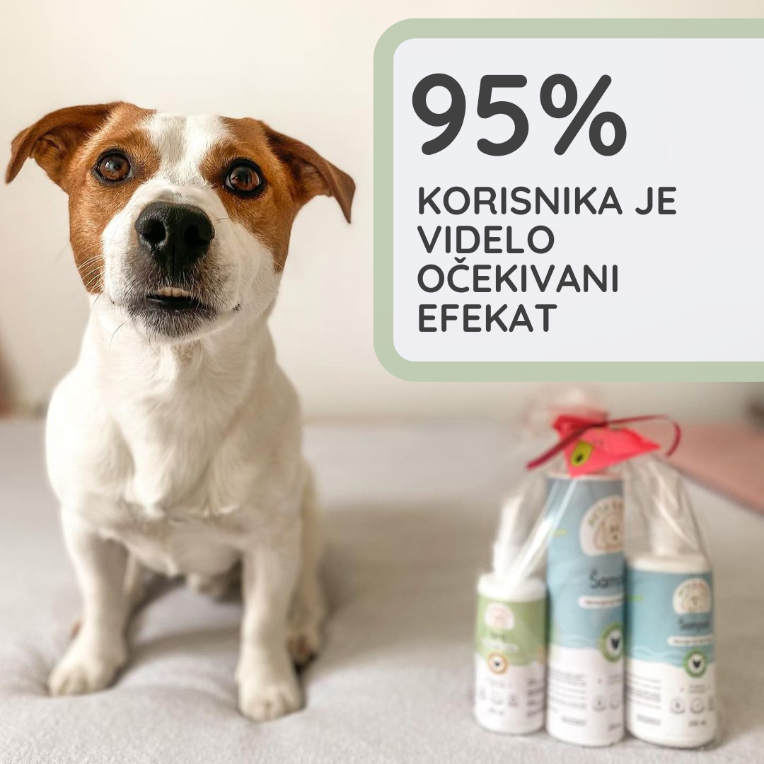 Super Trio | Komplet za Higijenu i Negu