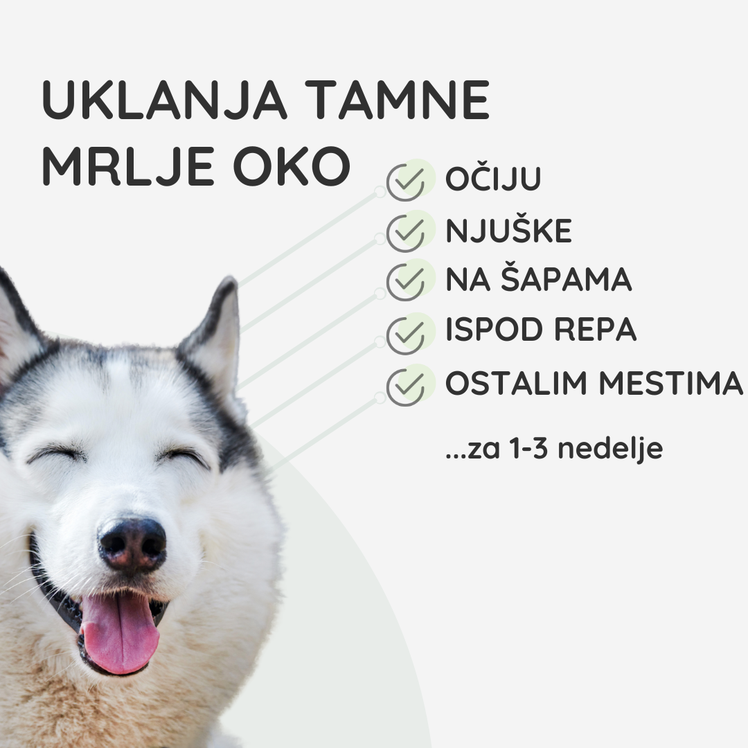 Set za Blistavu Čistoću