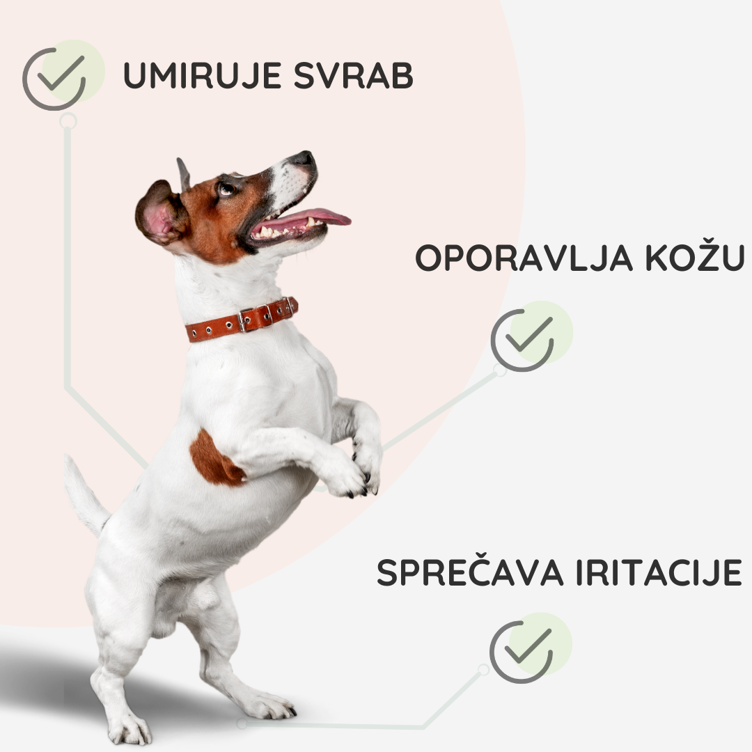 Set za Iziritiranu i Oštećenu kožu