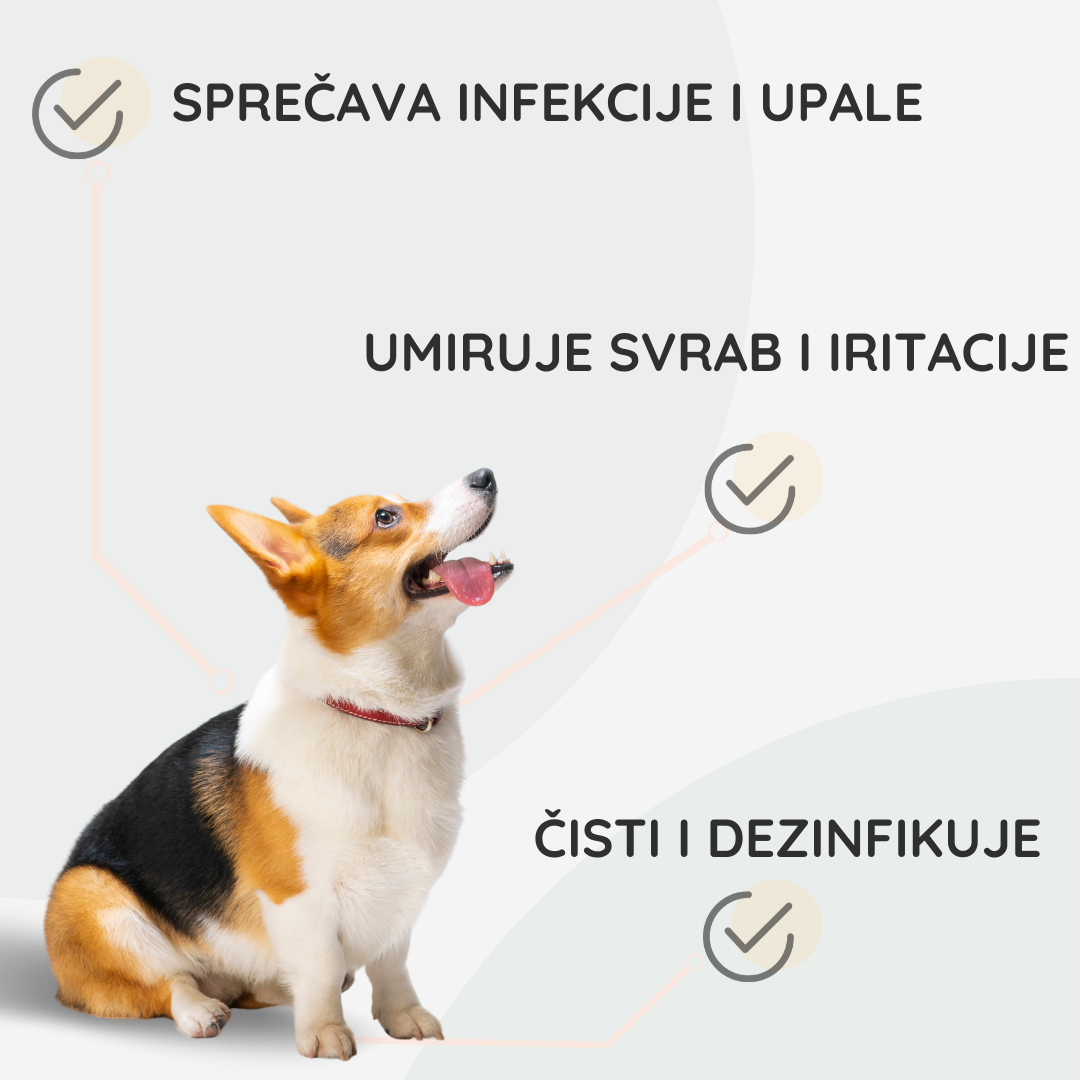 Losion za Pse | za Higijenu Ušiju