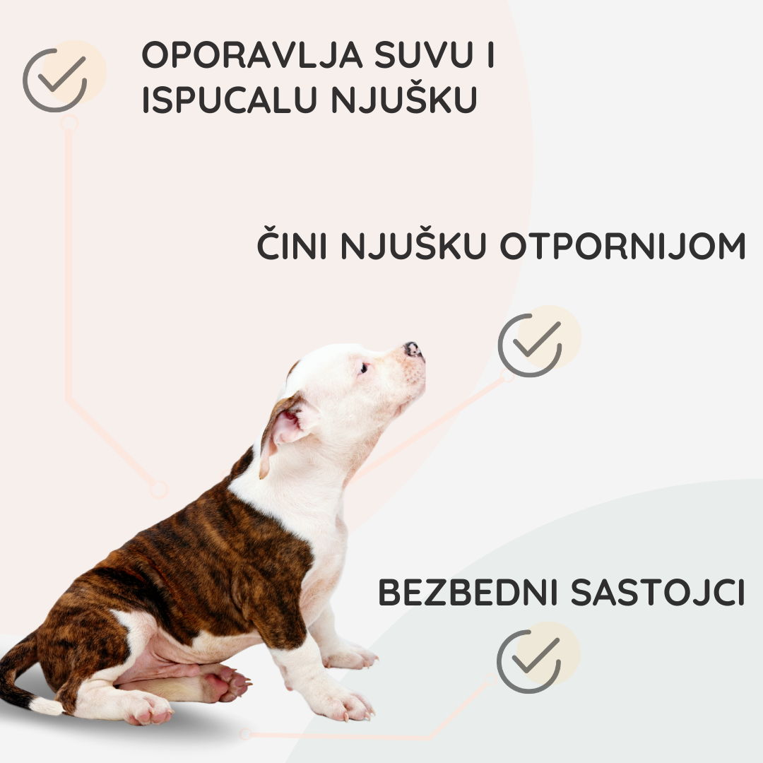 Balzam za pse | za Zdravu i Vlažnu njušku