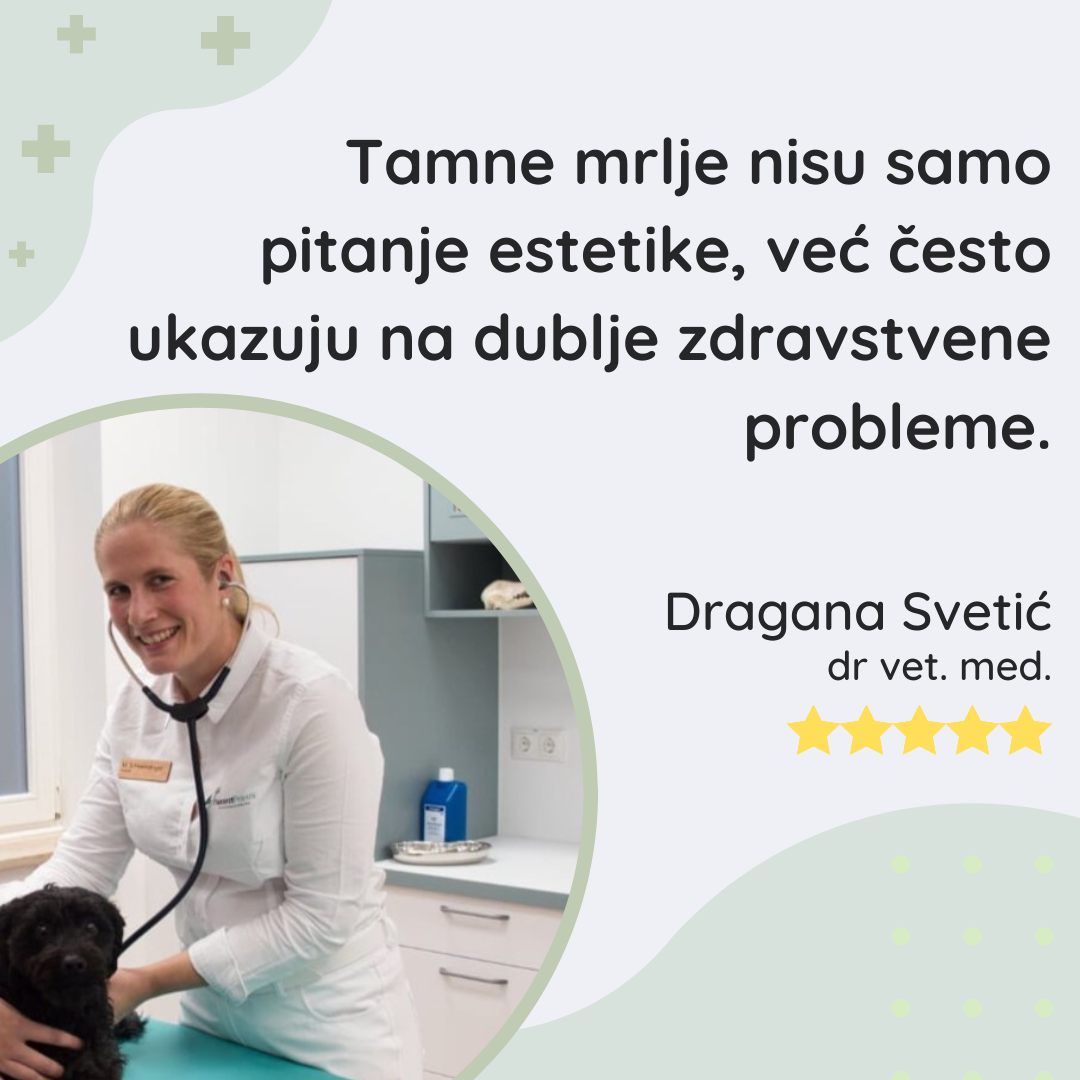 Set za Pse | sa Tamnim Mrljama oko Očiju