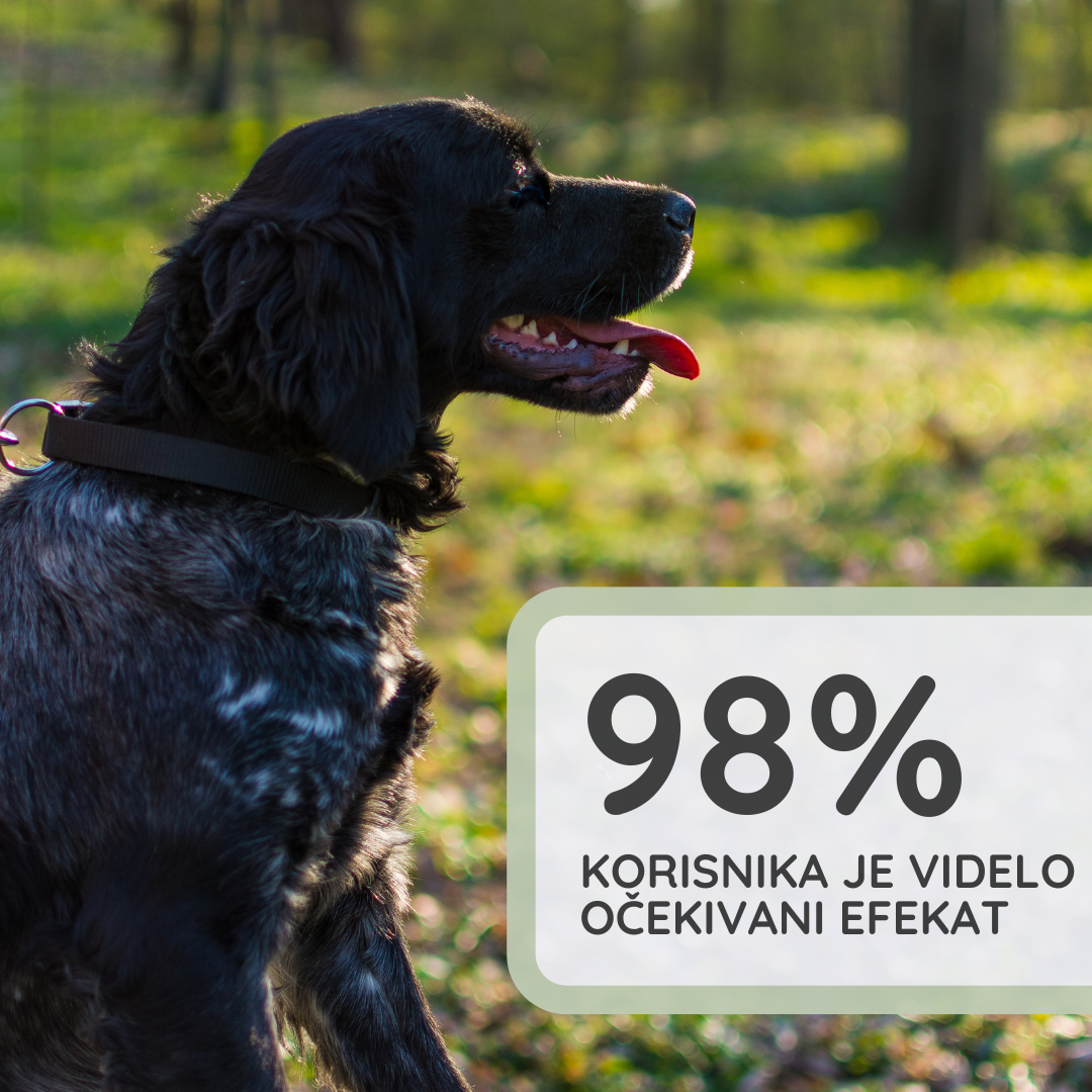 Sprej za Pse | Za Raščešljavanje Pasa
