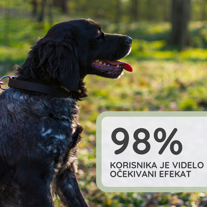 Sprej za Pse | Za Raščešljavanje Pasa