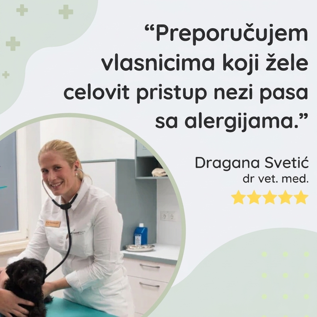 Set za Pse sa Alergijama