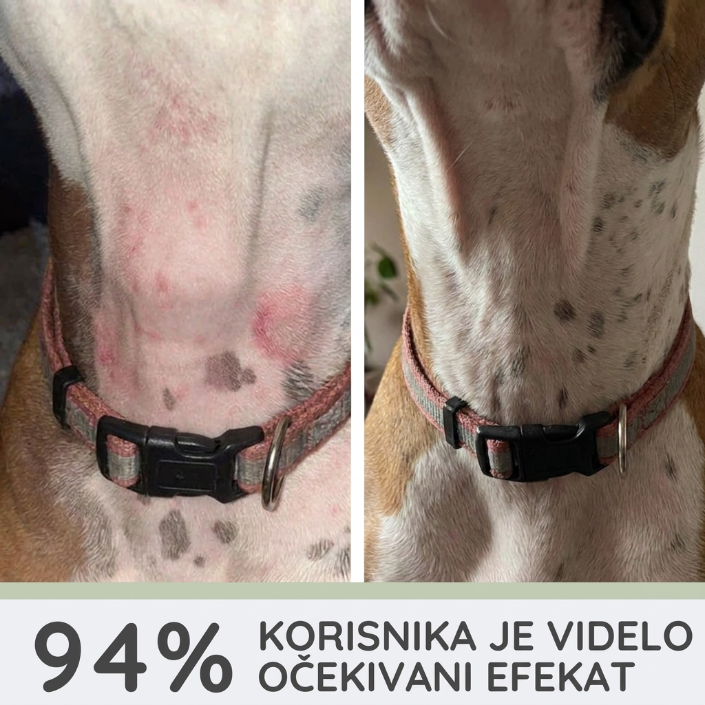 Set za Pse sa Alergijama